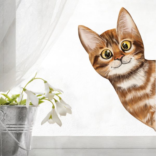 Auf dem Bild ist das Produkt: Fensterbild ins Fenster reinschauende Katze Fensterdeko Kinderzimmer Kind Osterdeko Frühlingsdeko zum Preis von €13.9 abgebildet.