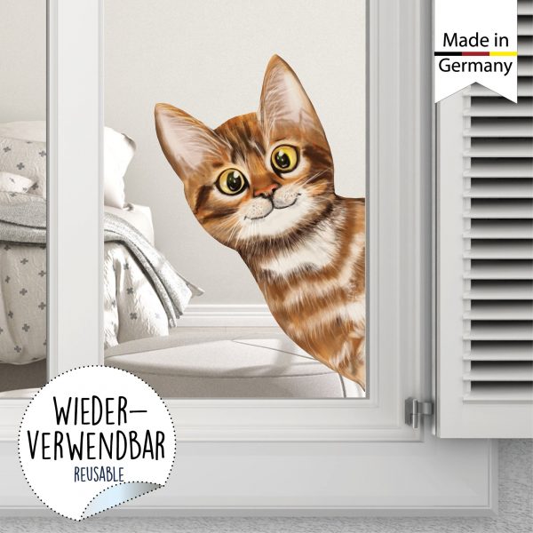 Auf dem Bild ist das Produkt: Fensterbild ins Fenster reinschauende Katze Fensterdeko Kinderzimmer Kind Osterdeko Frühlingsdeko zum Preis von €13.9 abgebildet.