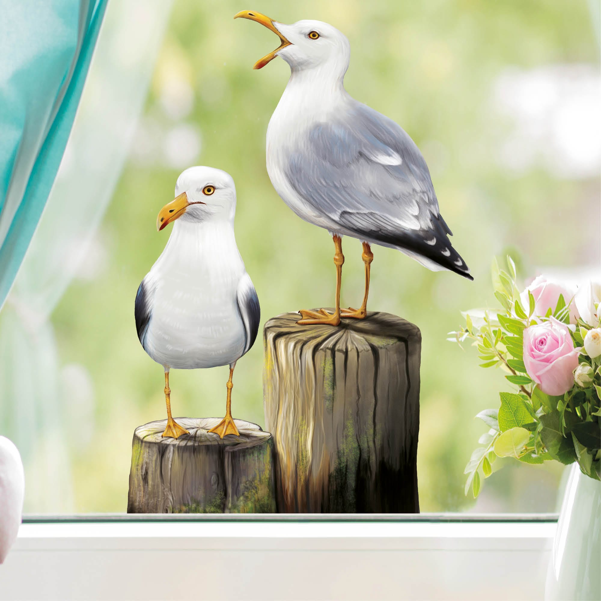 Auf dem Bild ist das Produkt: Fensterbild Frühling Möwen Möwe maritim Ostsee Urlaub Fensterdeko Kinderzimmer Kind Osterdeko Frühlingsdeko Vögel zum Preis von €13.90 abgebildet.