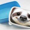 Auf dem Bild ist das Produkt: Brotdose Faultier personalisiert mit dem Wunschnamen, kratz- und bruchsicher, Geschenk Geburtstag, Ostergeschenk zum Preis von €19.9 abgebildet.