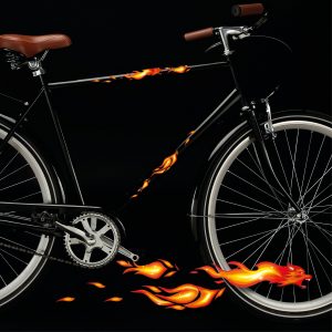 Auf dem Bild ist das Produkt: Fahrradaufkleber Wolf aus Flamen Feuer 21 Sticker Fahrrad Sticker Fahrraddesign Geburtstagsgeschenk zum Preis von €12.90 abgebildet.