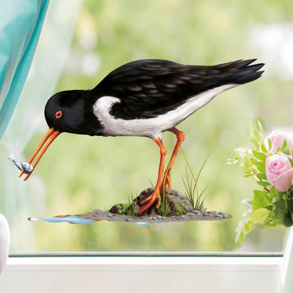 Auf dem Bild ist das Produkt: Fensterbild Frühling Austernfischer mit Fisch maritim Ostsee Nordsee Urlaub Fensterdeko Kinderzimmer Kind Osterdeko Frühlingsdeko Vögel zum Preis von €14.9 abgebildet.