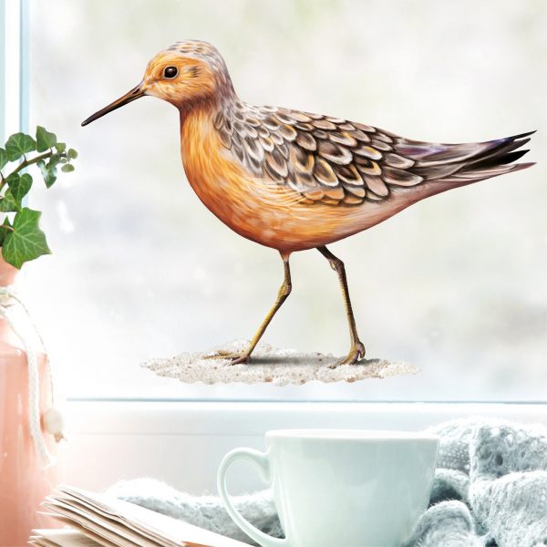 Auf dem Bild ist das Produkt: Fensterbild Frühling Strandläufer maritim Ostsee Urlaub Fensterdeko Kinderzimmer Kind Osterdeko Frühlingsdeko Vögel zum Preis von €14.9 abgebildet.