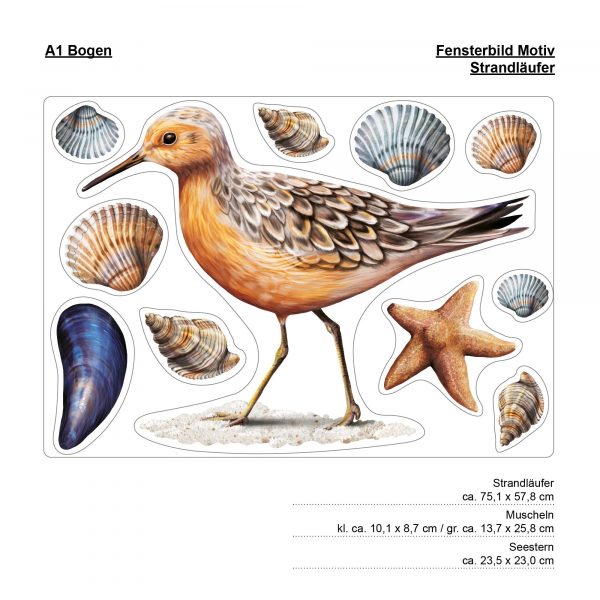 Auf dem Bild ist das Produkt: Fensterbild Frühling Strandläufer maritim Ostsee Urlaub Fensterdeko Kinderzimmer Kind Osterdeko Frühlingsdeko Vögel zum Preis von €14.9 abgebildet.