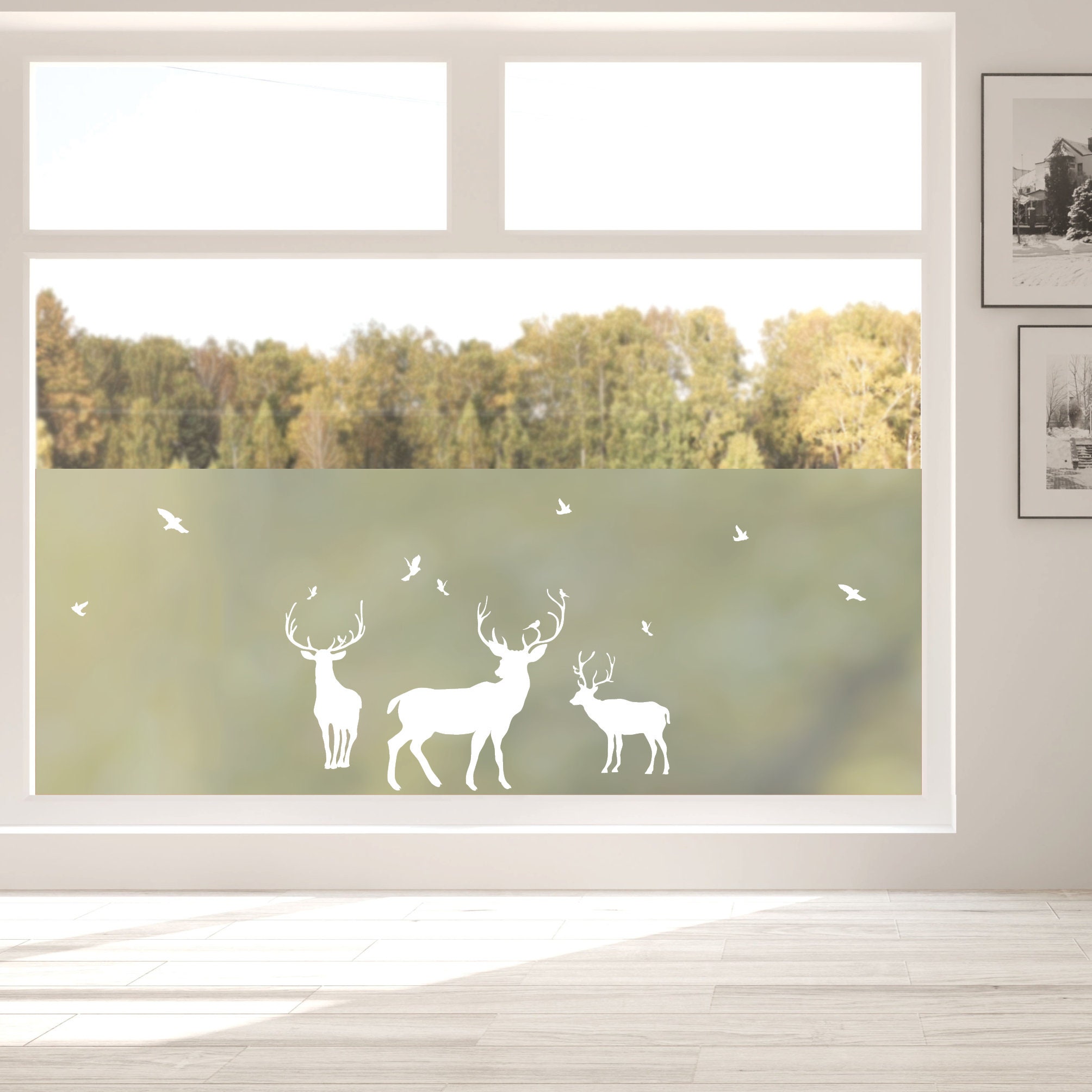 Sichtschutzfolie Birkenwald mit Hirschen Fensterfolie Fensterdeko  Milchglasfolie