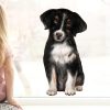 Auf dem Bild ist das Produkt: Fensterbild Hund Australian Shepherd, Fensterdeko Kinderzimmer Kind Osterdeko Frühlingsdeko zum Preis von €14.9 abgebildet.