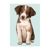 Auf dem Bild ist das Produkt: Fensterbild Hund Australian Shepherd, Fensterdeko Kinderzimmer Kind Osterdeko Frühlingsdeko zum Preis von €14.9 abgebildet.