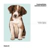 Auf dem Bild ist das Produkt: Fensterbild Hund Australian Shepherd, Fensterdeko Kinderzimmer Kind Osterdeko Frühlingsdeko zum Preis von €14.9 abgebildet.