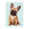Auf dem Bild ist das Produkt: Fensterbild Hund Haustier Französische Bulldogge, Fensterdeko Kinderzimmer Kind Osterdeko Frühlingsdeko zum Preis von €14.9 abgebildet.
