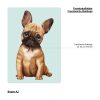 Auf dem Bild ist das Produkt: Fensterbild Hund Haustier Französische Bulldogge, Fensterdeko Kinderzimmer Kind Osterdeko Frühlingsdeko zum Preis von €14.9 abgebildet.
