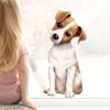 Auf dem Bild ist das Produkt: Fensterbild Hund Haustier Jack Russel Terrier, Fensterdeko Kinderzimmer Kind Osterdeko Frühlingsdeko zum Preis von €14.9 abgebildet.