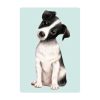 Auf dem Bild ist das Produkt: Fensterbild Hund Haustier Jack Russel Terrier, Fensterdeko Kinderzimmer Kind Osterdeko Frühlingsdeko zum Preis von €14.9 abgebildet.