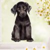 Auf dem Bild ist das Produkt: Fensterbild Hund Labrador in verschiedenen Farben – Fensterdeko für das Kinderzimmer zum Preis von €14.9 abgebildet.