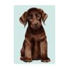 Auf dem Bild ist das Produkt: Fensterbild Hund Labrador in verschiedenen Farben – Fensterdeko für das Kinderzimmer zum Preis von €14.9 abgebildet.