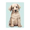 Auf dem Bild ist das Produkt: Fensterbild Hund Labrador in verschiedenen Farben – Fensterdeko für das Kinderzimmer zum Preis von €14.9 abgebildet.