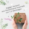 Auf dem Bild ist das Produkt: Wiederverwendbares Fensterbild Weihnachten Winterstadt Fensterdekoration Weihnachten Winter Rentierschlitten Sterne weiß zum Preis von €13.90 abgebildet.