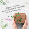 Auf dem Bild ist das Produkt: Wiederverwendbares Fensterbild Frühling Ostern Hase Fahrrad Schmetterlinge, Fensterdeko Kinderzimmer Kind, Frühlingsdeko, Osterdeko zum Preis von €13.9 abgebildet.