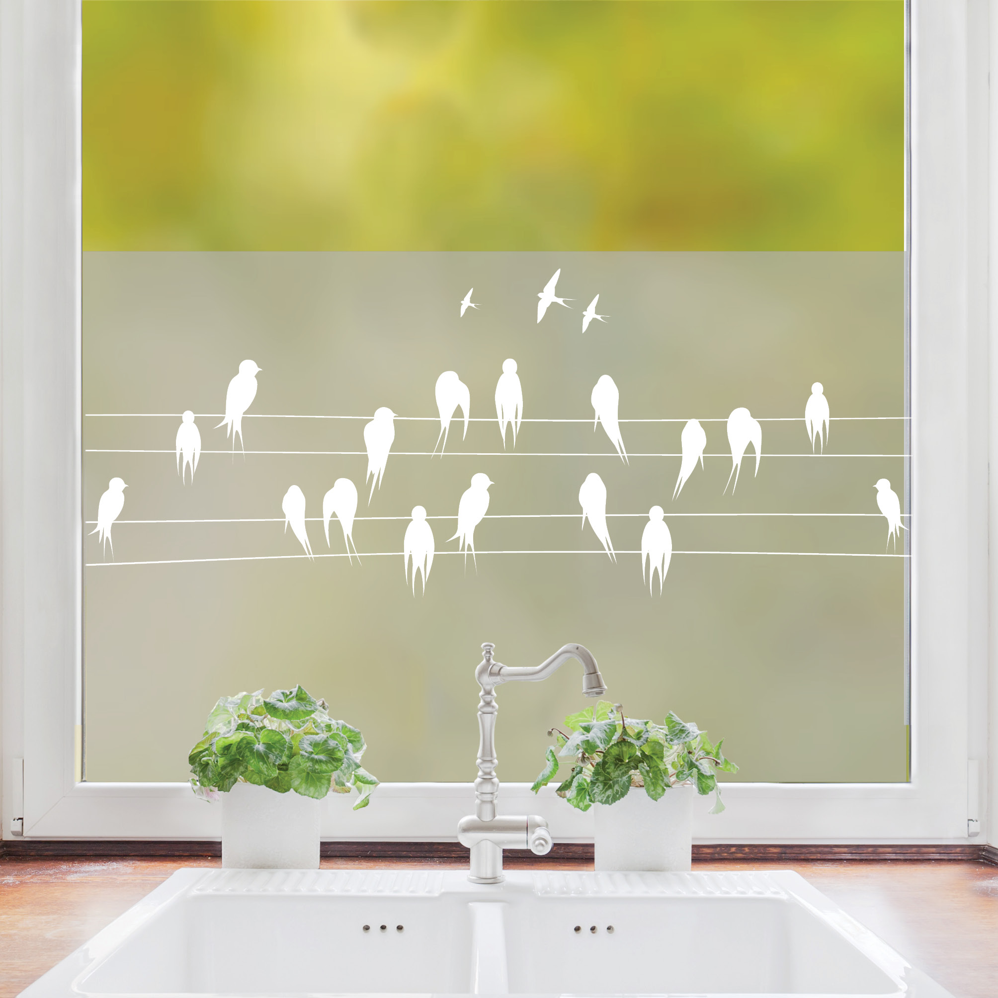 Auf dem Bild ist das Produkt: Sichtschutzfolie Fenster Vögel Leitung Fensterfolie Fensterdeko Milchglasfolie zum Preis von €24.9 abgebildet.
