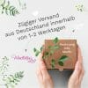 Auf dem Bild ist das Produkt: Fensterbild Herbst niedliche Wichtel mit Blättern herbstliche Fensteraufkleber Fensterdeko Deko zum Preis von €13.90 abgebildet.