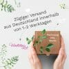 Auf dem Bild ist das Produkt: Fensterbild Winter Weihnachten Elch mit Zwergen Schlitten winterliche Fensterdeko wiederverwendbar zum Preis von €13.90 abgebildet.