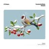 Auf dem Bild ist das Produkt: Fensterbild Winter Vogel Stieglitz Wiederverwendbar Wintermotiv Weihnachtsdekoration Fensteraufkleber zum Preis von €13.90 abgebildet.