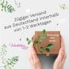 Auf dem Bild ist das Produkt: Fensterbild Pinguin hineinschauend Winter Fenster mit Schneeflocken Adventsdeko wiederverwendbar zum Preis von €13.90 abgebildet.