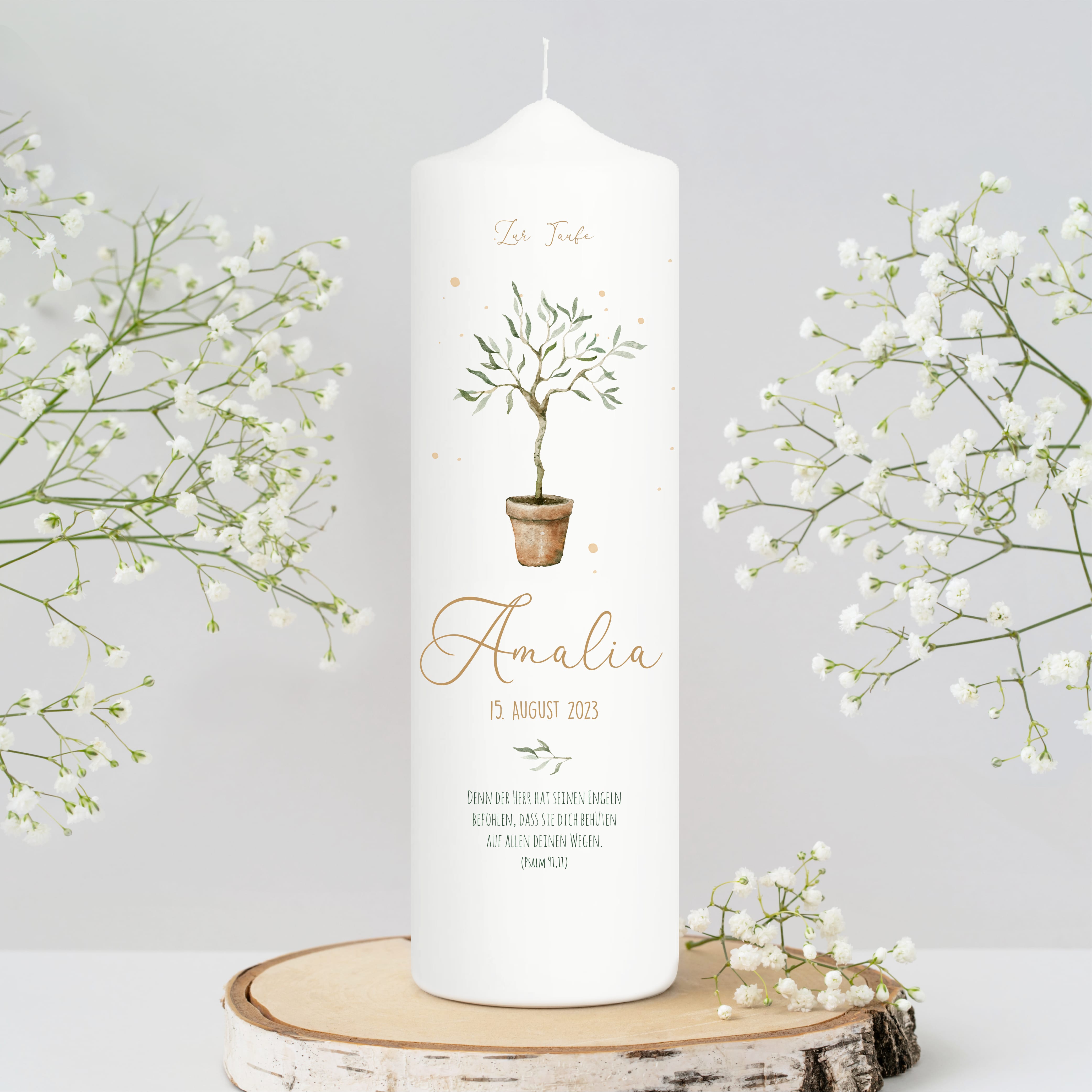 Auf dem Bild ist das Produkt: Taufkerze oder Kerze zur Geburt Junge Mädchen junger Oliven Baum Bäumchen pastell mit Namen, Datum und Spruch zum Preis von €5.90 abgebildet.