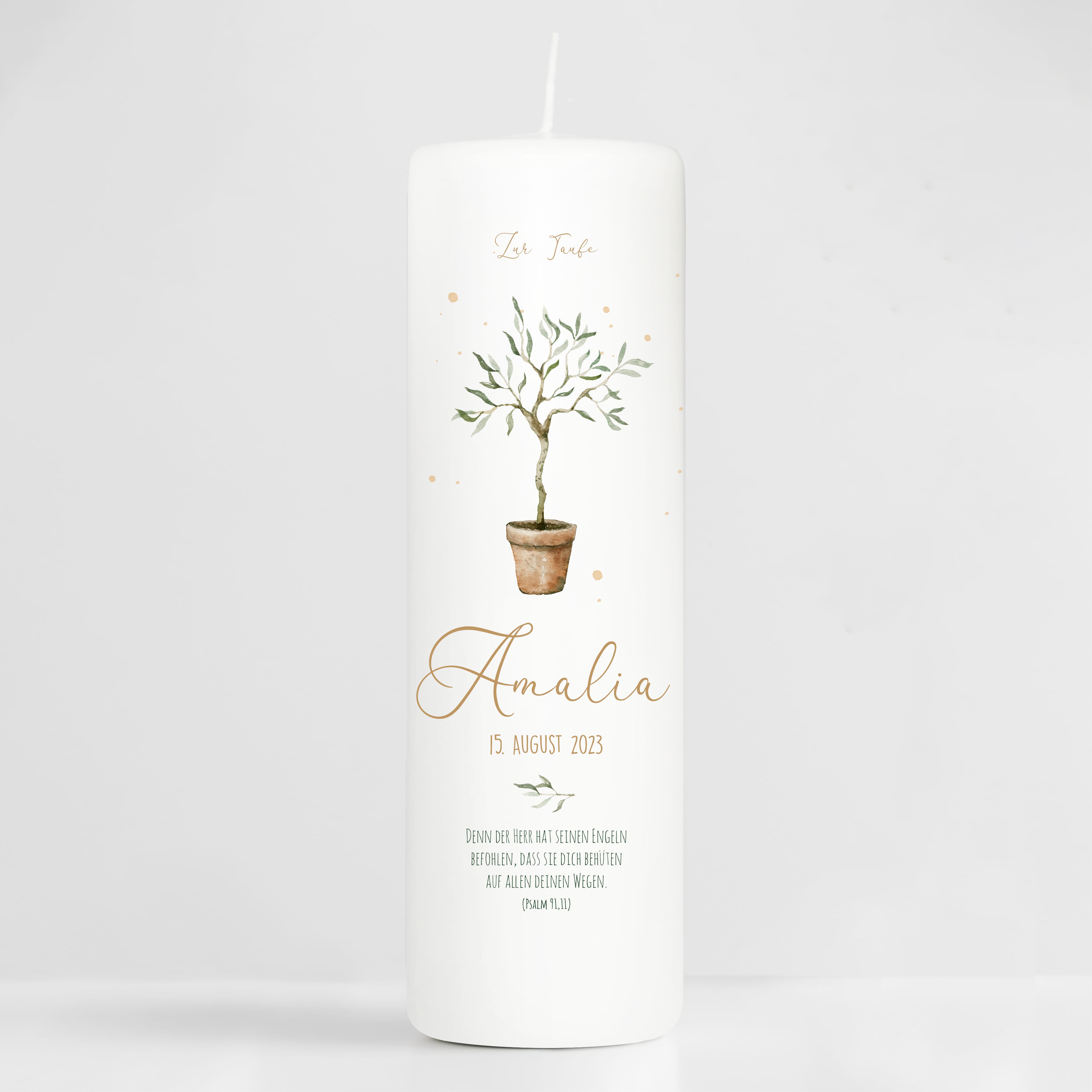 Auf dem Bild ist das Produkt: Taufkerze oder Kerze zur Geburt Junge Mädchen junger Oliven Baum Bäumchen pastell mit Namen, Datum und Spruch zum Preis von €5.90 abgebildet.