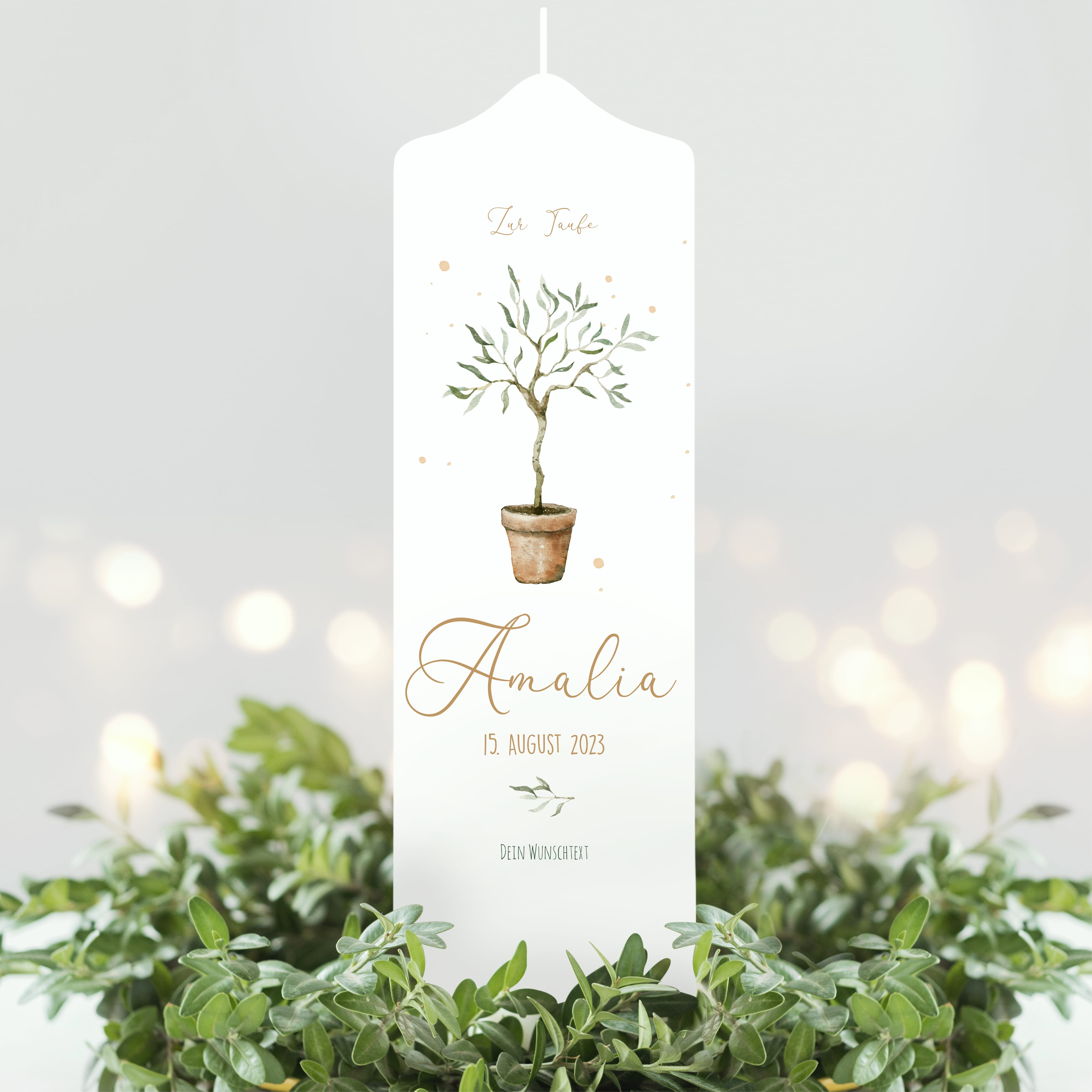 Auf dem Bild ist das Produkt: Taufkerze oder Kerze zur Geburt Junge Mädchen junger Oliven Baum Bäumchen pastell mit Namen, Datum und Spruch zum Preis von €5.90 abgebildet.
