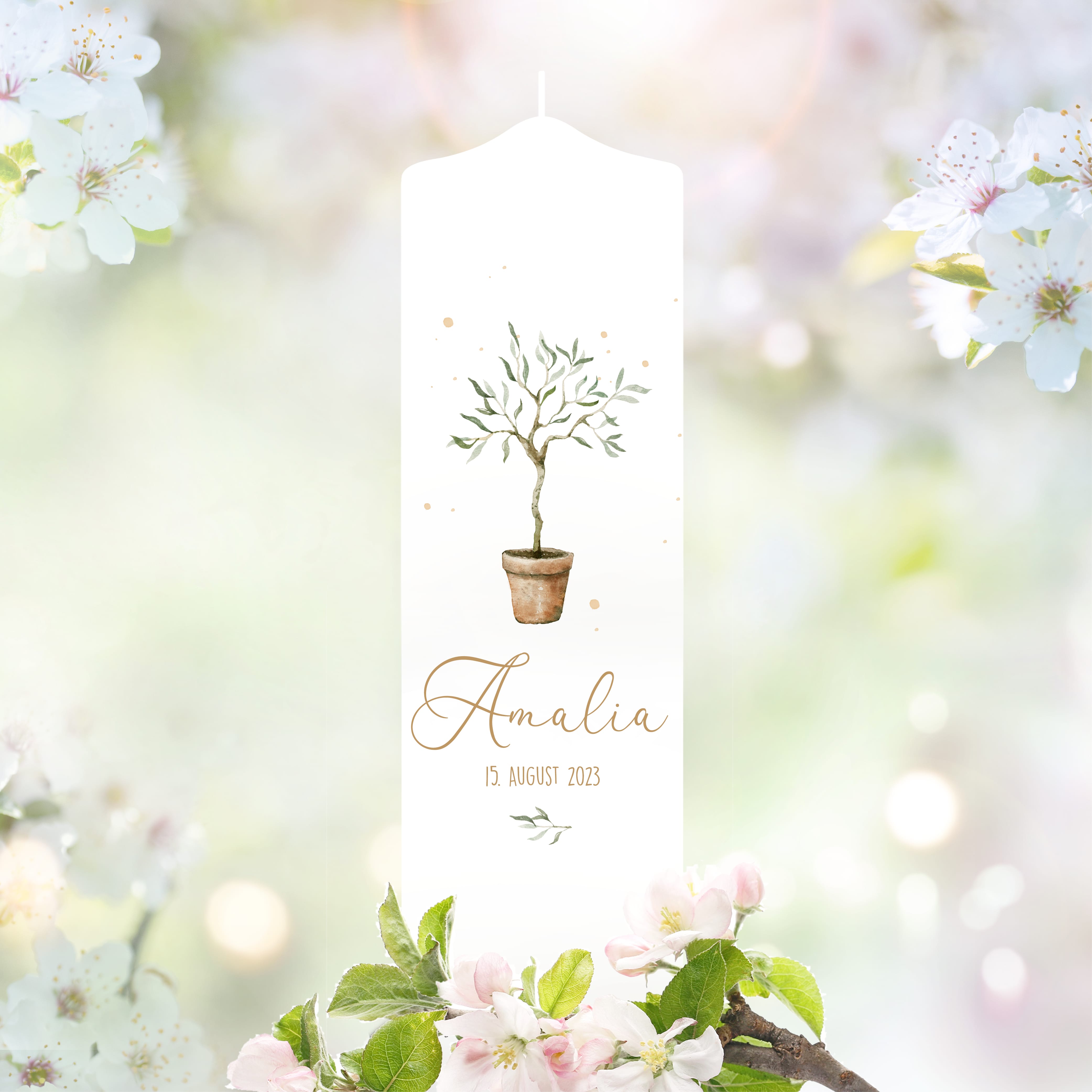 Auf dem Bild ist das Produkt: Taufkerze oder Kerze zur Geburt Junge Mädchen junger Oliven Baum Bäumchen pastell mit Namen, Datum und Spruch zum Preis von €5.90 abgebildet.