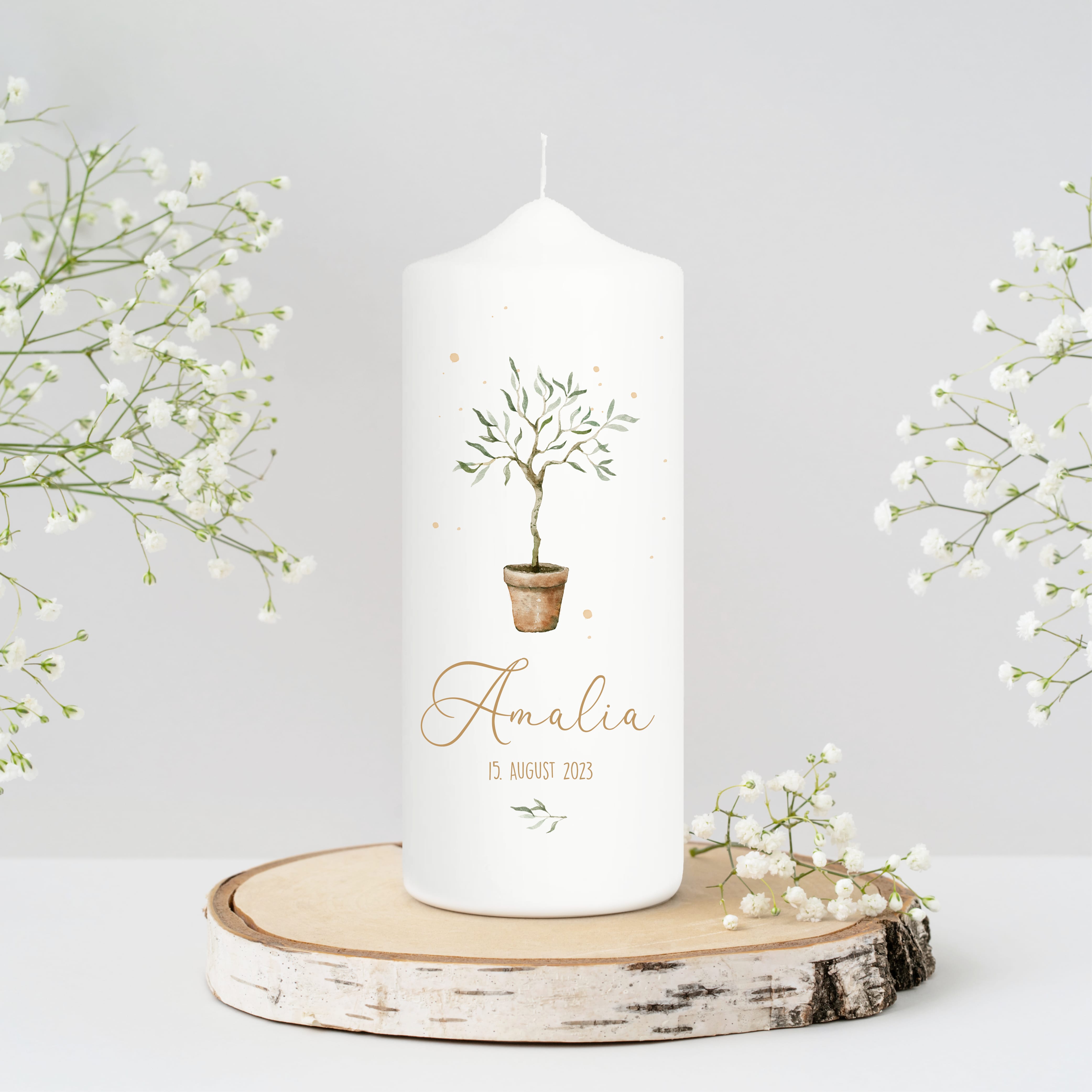 Auf dem Bild ist das Produkt: Taufkerze oder Kerze zur Geburt Junge Mädchen junger Oliven Baum Bäumchen pastell mit Namen, Datum und Spruch zum Preis von €5.90 abgebildet.