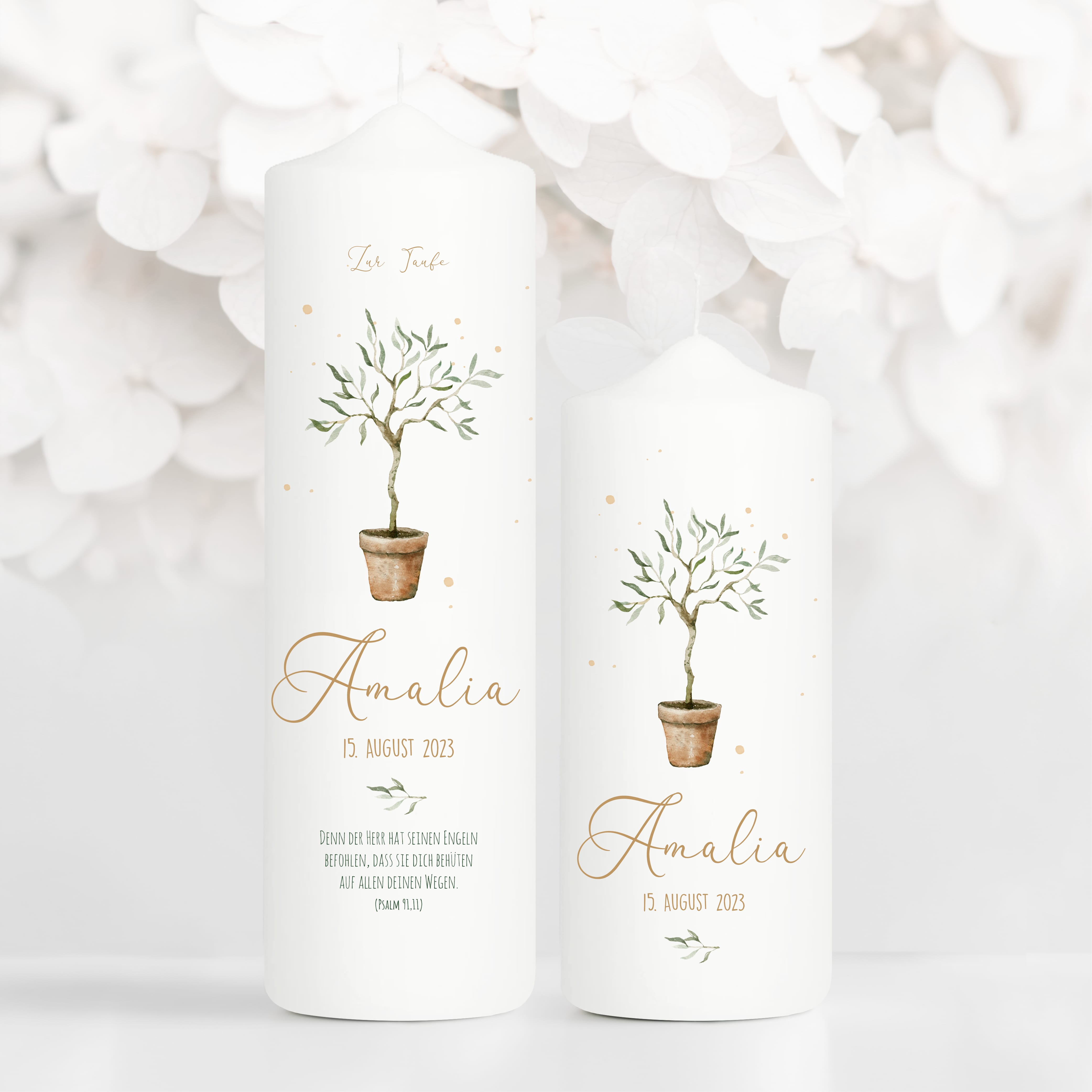 Auf dem Bild ist das Produkt: Taufkerze oder Kerze zur Geburt Junge Mädchen junger Oliven Baum Bäumchen pastell mit Namen, Datum und Spruch zum Preis von €5.90 abgebildet.