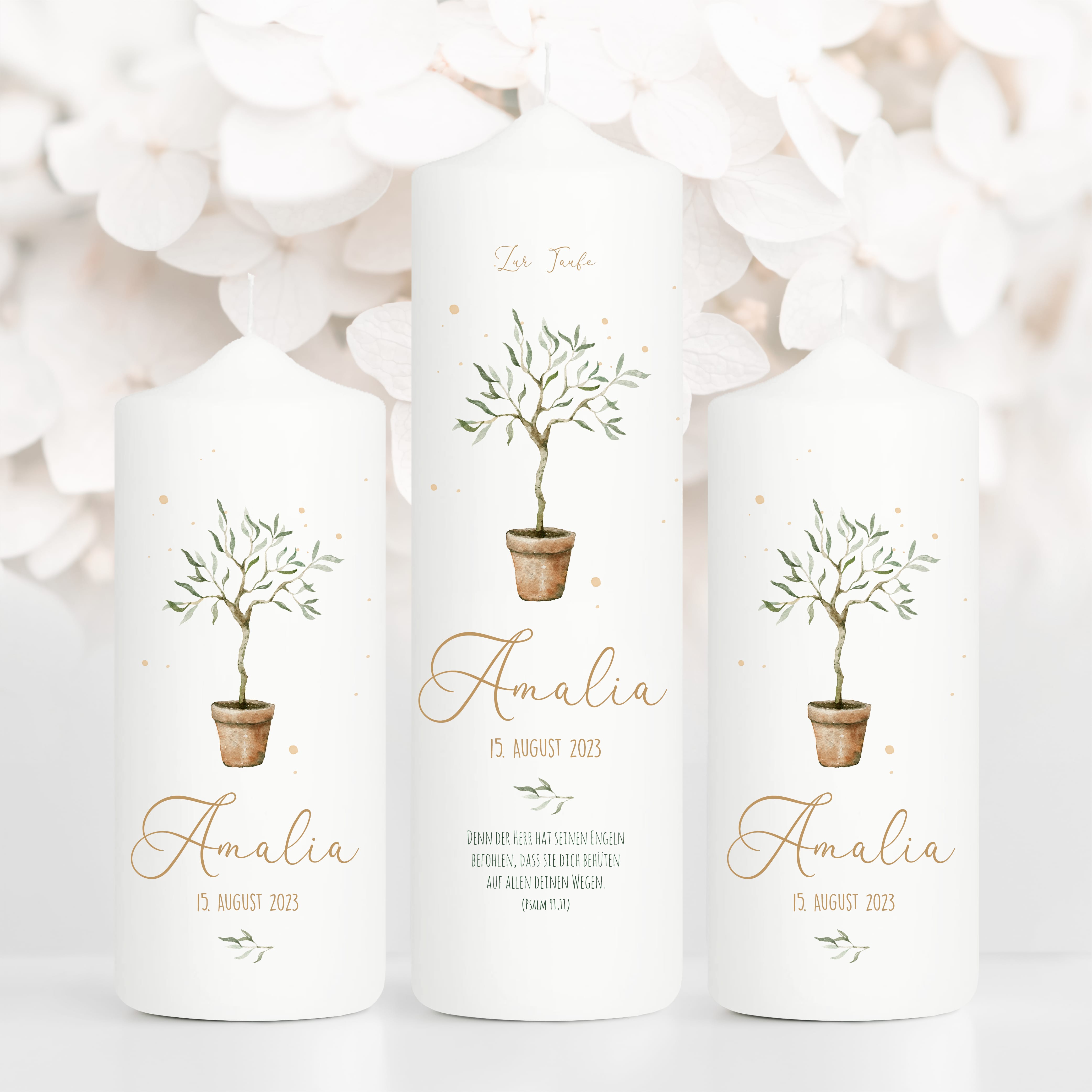 Auf dem Bild ist das Produkt: Taufkerze oder Kerze zur Geburt Junge Mädchen junger Oliven Baum Bäumchen pastell mit Namen, Datum und Spruch zum Preis von €5.90 abgebildet.
