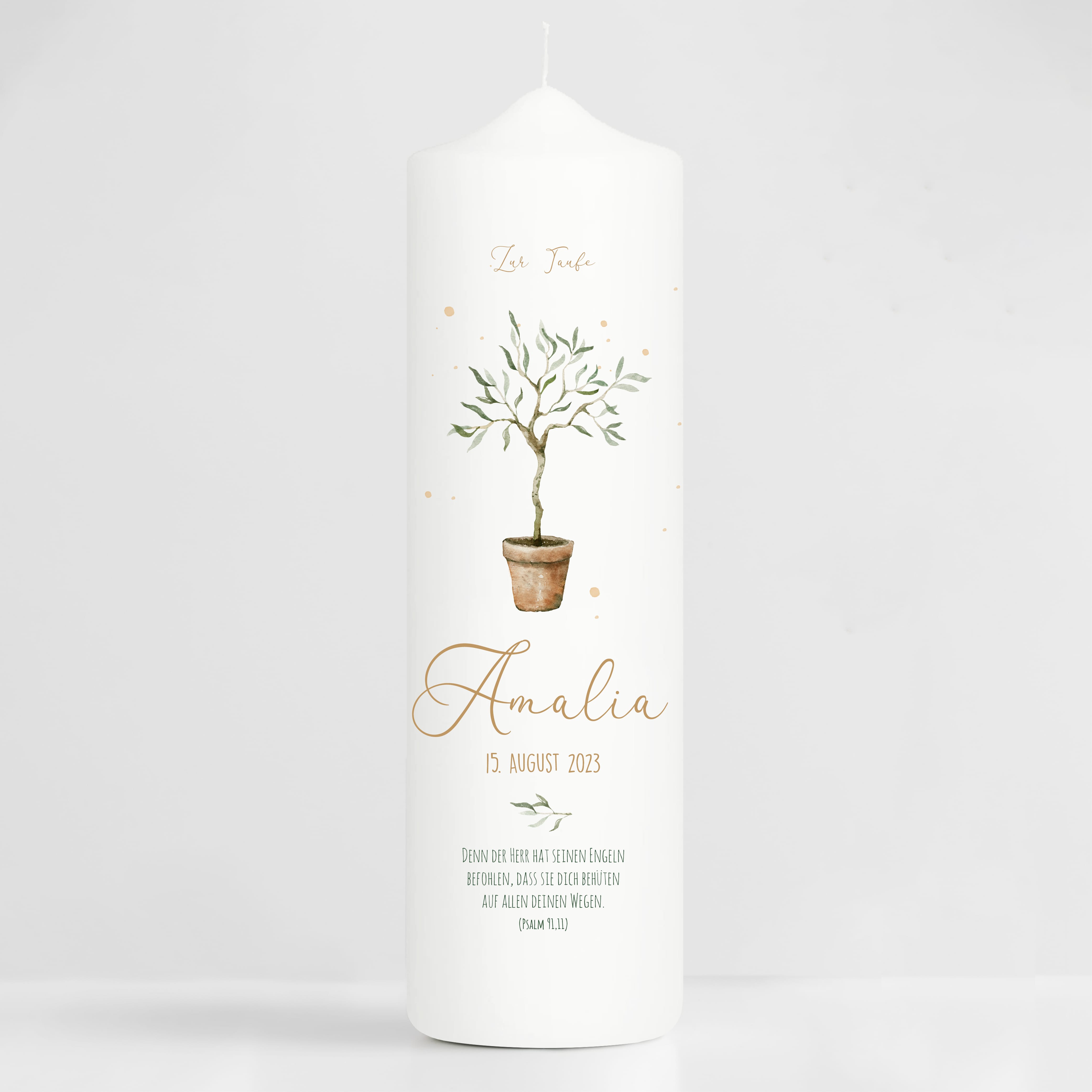 Auf dem Bild ist das Produkt: Taufkerze oder Kerze zur Geburt Junge Mädchen junger Oliven Baum Bäumchen pastell mit Namen, Datum und Spruch zum Preis von €5.90 abgebildet.