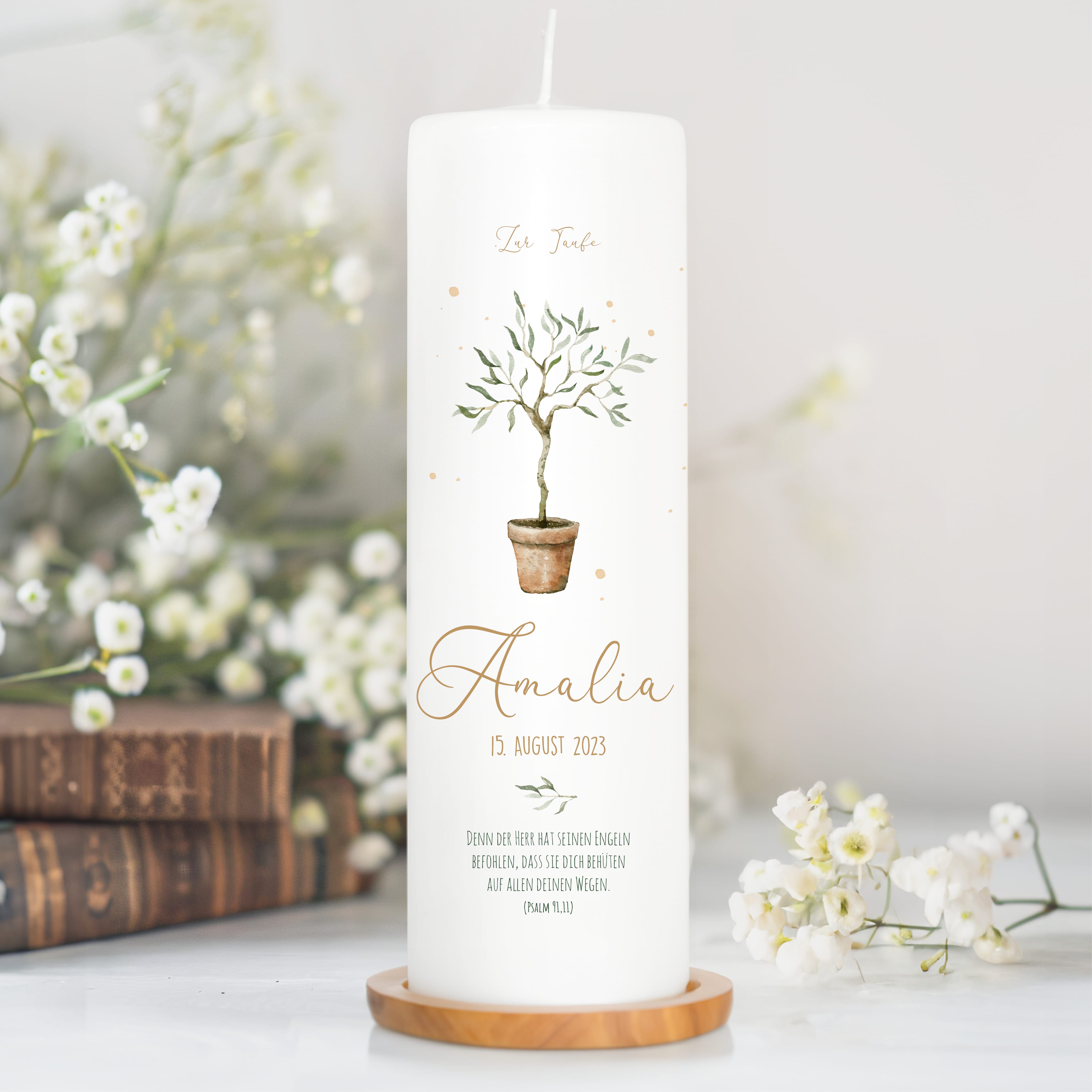 Auf dem Bild ist das Produkt: Taufkerze oder Kerze zur Geburt Junge Mädchen junger Oliven Baum Bäumchen pastell mit Namen, Datum und Spruch zum Preis von €5.90 abgebildet.