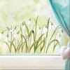 Auf dem Bild ist das Produkt: Fensterbild Frühling Ostern Schneeglöckchen Blumenwiese Fensterdeko wiederverwendbar zum Preis von €13.90 abgebildet.