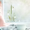 Auf dem Bild ist das Produkt: Fensterbild Frühling Ostern Schneeglöckchen Blumenwiese Fensterdeko wiederverwendbar zum Preis von €13.90 abgebildet.