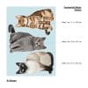 Auf dem Bild ist das Produkt: Fensterbild sitzende Katzen Siamkatze Perserkatze Katzenrassen, Fensterdeko Kinderzimmer Kind Osterdeko Frühlingsdeko zum Preis von €13.90 abgebildet.