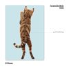 Auf dem Bild ist das Produkt: Fensterbild stehende Katze Rückansicht Fensterdeko Kinderzimmer Kind Osterdeko Frühlingsdeko zum Preis von €12.9 abgebildet.
