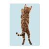Auf dem Bild ist das Produkt: Fensterbild stehende Katze Rückansicht Fensterdeko Kinderzimmer Kind Osterdeko Frühlingsdeko zum Preis von €12.9 abgebildet.