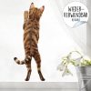 Auf dem Bild ist das Produkt: Fensterbild stehende Katze Rückansicht Fensterdeko Kinderzimmer Kind Osterdeko Frühlingsdeko zum Preis von €12.9 abgebildet.