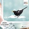 Auf dem Bild ist das Produkt: Fensterbild Weihnachten Winter Amsel mit Schnee Fensterdeko winterliche Fensterdekoration wiederverwendbar zum Preis von €13.90 abgebildet.