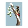 Auf dem Bild ist das Produkt: Fensterbild Weihnachten Winter wiederverwendbar Specht Ast Schnee Fensterdeko Vogel winterliche Fensterdeko zum Preis von €13.90 abgebildet.