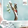 Auf dem Bild ist das Produkt: Fensterbild Weihnachten Winter wiederverwendbar Specht Ast Schnee Fensterdeko Vogel winterliche Fensterdeko zum Preis von €13.90 abgebildet.