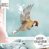 Auf dem Bild ist das Produkt: Fensterbild Winter Vogel Vögel Haussperling wiederverwendbare Fensteraufkleber Kinderzimmer Winterdeko zum Preis von €13.90 abgebildet.