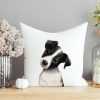 Auf dem Bild ist das Produkt: Kissen bedruckt mit einem Hund Jack Russel Terrier, Geschenk für einen Hundebesitzer zum Preis von €11.90 abgebildet.