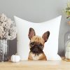 Auf dem Bild ist das Produkt: Kissen bedruckt mit Hund Französische Bulldogge, Geschenk für einen Hundebesitzer zum Preis von €11.90 abgebildet.