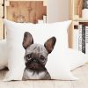 Auf dem Bild ist das Produkt: Kissen bedruckt mit Hund Französische Bulldogge, Geschenk für einen Hundebesitzer zum Preis von €11.90 abgebildet.