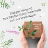 Auf dem Bild ist das Produkt: Tasse bedruckt Fuchs Pusteblume personalisiert Wunschname Fuchstasse Geschenk Geburtstag zum Preis von €18.9 abgebildet.