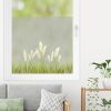 Auf dem Bild ist das Produkt: Sichtschutzfolie farbiges Pampasgras Gräser Fensterfolie Fensterdeko Milchglasfolie Sichtschutz Folie Fenster zum Preis von €24.9 abgebildet.